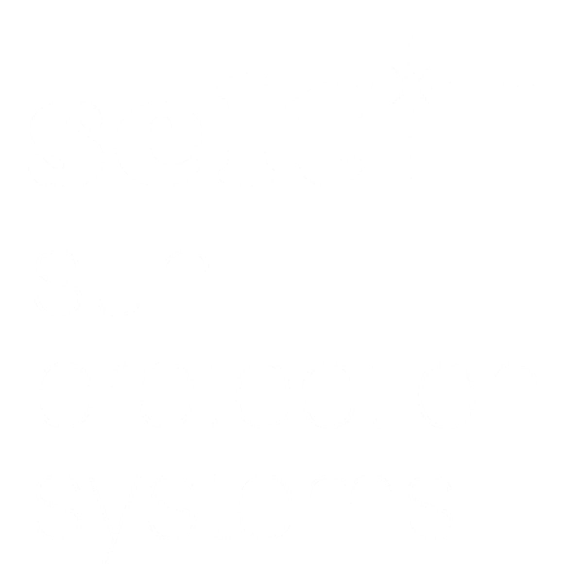 Polmax - Solt Partner Logo Polmax - Solt Partner Logo